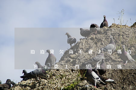 拍拍貸欠兩千會上門嗎(拍拍貸欠了一萬多說下午要上門是真的嗎?)