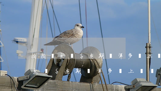 拍拍貸欠兩千逾期兩年多會上門嗎-拍拍貸欠兩千逾期兩年多會上門嗎是真的嗎