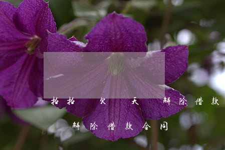 拍拍貸欠兩天說解除借款合同(拍拍貸欠兩天說解除借款合同)