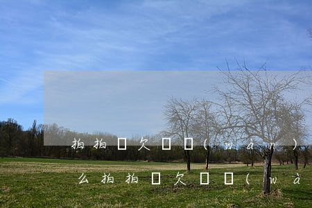 拍拍貸欠兩萬(wàn)會(huì)上門么(拍拍貸欠兩萬(wàn)會(huì)上門么)