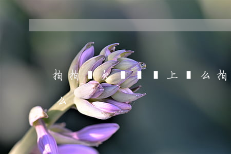 拍拍貸欠兩萬會上門么(拍拍貸欠兩萬會上門么)