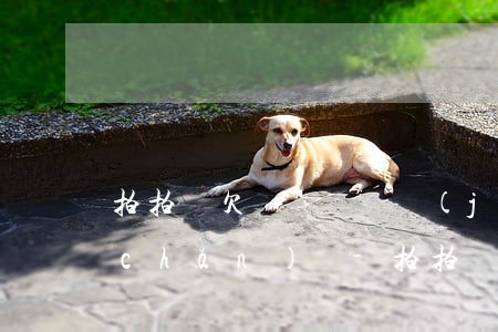 拍拍貸欠兩萬會凍結(jié)名下財產(chǎn)嗎-拍拍貸欠兩萬會凍結(jié)名下財產(chǎn)嗎知乎