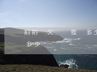 拍拍貸欠兩萬要還多少(拍拍貸借2萬每月還多少)