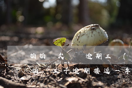 拍拍貸欠兩萬逾期三個(gè)月怎么辦(拍拍貸三千逾期接近一年現(xiàn)在大概要還多少)