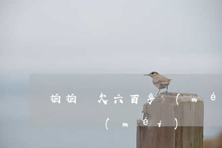 拍拍貸欠六百多沒(méi)還(拍拍貸幾百塊錢沒(méi)還)