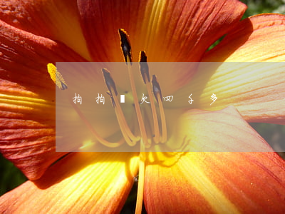 拍拍貸欠四千多