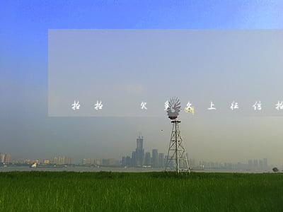 拍拍貸欠多久上征信(拍拍貸超過幾天上征信)