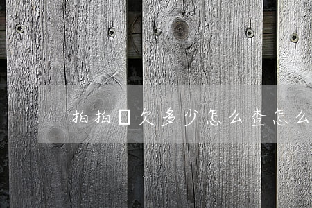 拍拍貸欠多少怎么查(怎么查拍拍貸款信息)
