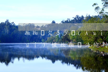 拍拍貸欠多少會(huì)被告(有誰(shuí)被拍拍貸法院判決了嗎?)