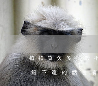 拍拍貸欠多少錢不還會坐牢嗎(如果拍拍貸欠錢不還的話會有什么后果)