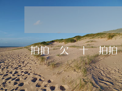 拍拍貸欠幾十塊(拍拍貸幾百塊錢沒還)