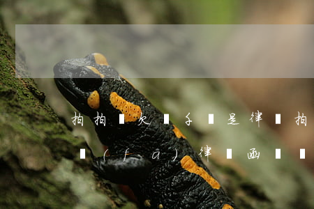 拍拍貸欠幾千說是律師(拍拍貸欠2千多給我發(fā)律師函還說要告我是真的嗎?)