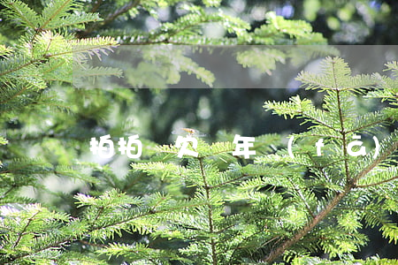 拍拍貸欠幾年發(fā)律師函變幾萬