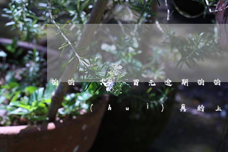 拍拍貸欠幾百元逾期(拍拍貸逾期幾千塊錢沒還會(huì)真的上訴嗎)