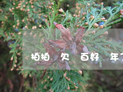 拍拍貸欠幾百好幾年了會上門嗎-