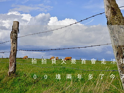 拍拍貸欠幾百會走法律程序嗎(拍拍貸欠1000塊兩年多了今天收到律師信息)