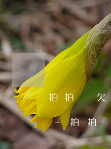 拍拍貸欠幾百發(fā)短信說要上門走訪-拍拍貸欠幾百發(fā)短信說要上門走訪是真的嗎