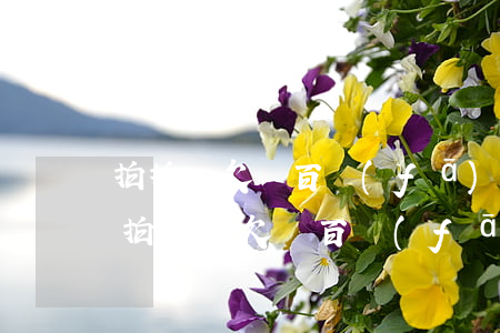 拍拍貸欠幾百發(fā)短信說要上門走訪(拍拍貸欠幾百發(fā)短信說要上門走訪)