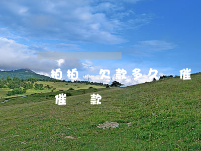 拍拍貸欠款多久會催還款(拍拍貸一般多久會催還款)