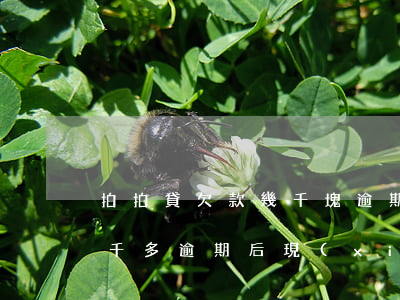拍拍貸欠款幾千塊逾期一年多(拍拍貸欠款五千多,逾期后現(xiàn)在要還一萬八千多)