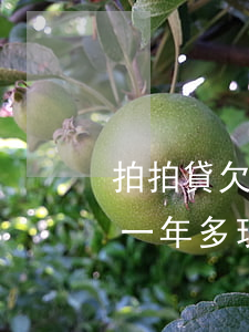 拍拍貸欠款逾期上門采訪(拍拍貸欠5000一年多現(xiàn)在說上門是真的嗎)