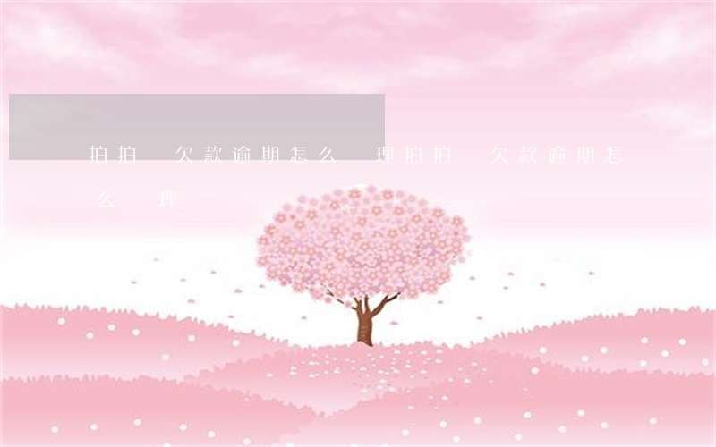 拍拍貸欠款逾期怎么處理(拍拍貸欠款逾期怎么處理)