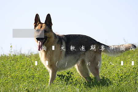 拍拍貸欠款逾期案例(拍拍貸欠款逾期已久即將進(jìn)入訴訟程序)