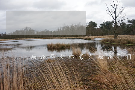 拍拍貸欠的最久(拍拍貸終于還清了)