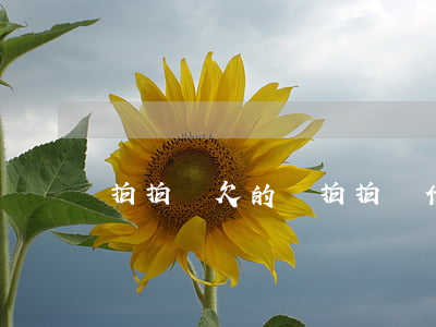 拍拍貸欠的錢(拍拍貸借款是真的嗎)