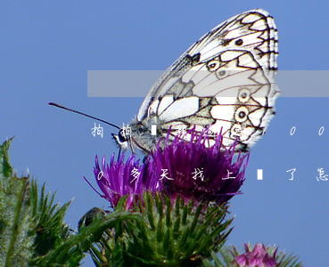 拍拍貸款逾期100天(拍拍貸借款逾期600多天找上門了怎么樣)