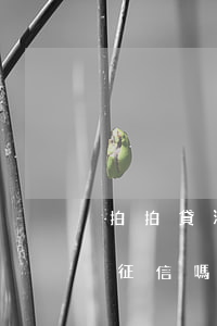 拍拍貸海峽銀行放款逾期(拍拍貸海峽銀行上征信嗎)
