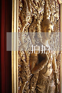 拍拍貸理財(cái)逾期怎么辦