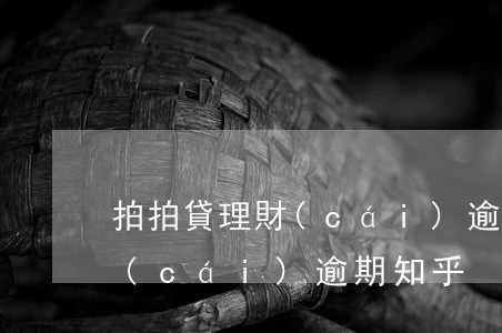 拍拍貸理財(cái)逾期 知乎(拍拍貸理財(cái)逾期 知乎)