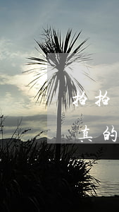 拍拍貸發(fā)信息說寄律師函到我家是真的假的（拍拍逾期兩個月會給老家寄律師函嘛）