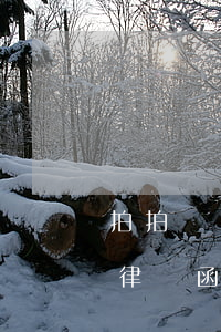 拍拍貸發(fā)的律師函是真的嗎(拍拍貸律師函是真的么)