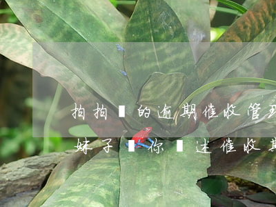 拍拍貸的逾期催收管理(拍拍貸逾期了怎么辦?妹子給你講述催收期間的真實(shí)經(jīng)歷)