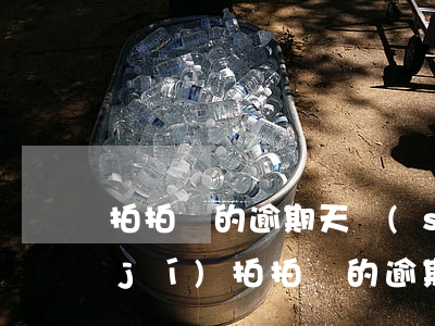 拍拍貸的逾期天數(shù)分為哪幾級(jí)(拍拍貸的逾期天數(shù)分為哪幾級(jí)呢)
