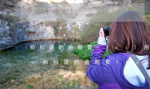 拍拍貸的逾期費(fèi)用可以不用還嗎-拍拍貸的逾期費(fèi)用可以不用還嗎安全嗎