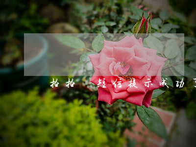 拍拍貸短信提示成功了還款賬單-