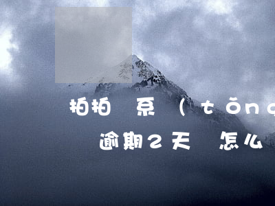 拍拍貸系統(tǒng)問題造成逾期(拍拍貸逾期2天會怎么樣?拍拍貸逾期后果介紹)