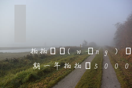 拍拍貸網(wǎng)貸2萬(wàn)逾期一年(拍拍貸5000逾期兩年多現(xiàn)在要我還1多合法嗎)