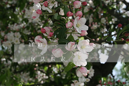 拍拍貸網(wǎng)貸起訴-拍拍貸向人民法院起訴