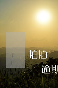 拍拍貸網(wǎng)貸逾期無力償還(拍拍貸逾期兩年了,還沒有處理,后果會嚴(yán)重嗎)
