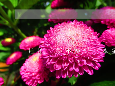 拍拍貸能不能只還本金（拍拍貸能只還本金么）