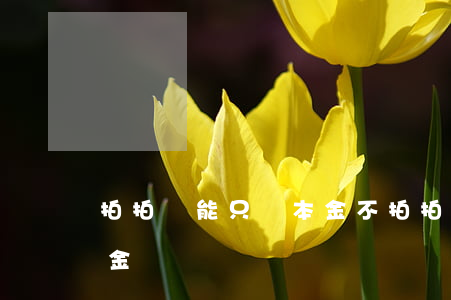 拍拍貸能只還本金不(拍拍貸怎么可以只還本金)