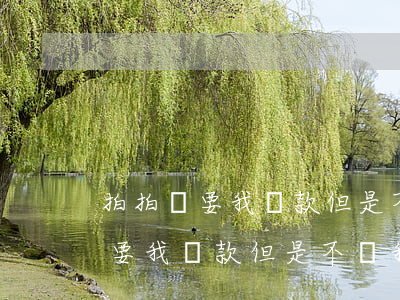 拍拍貸要我還款但是不讓我登賬號-拍拍貸要我還款但是不讓我登賬號怎么辦