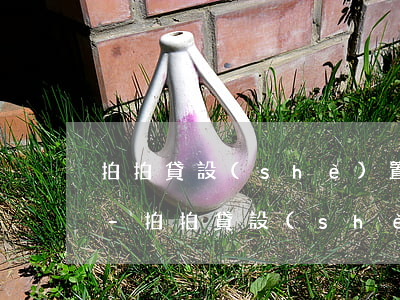 拍拍貸設(shè)置我的信用卡還款日期-拍拍貸設(shè)置我的信用卡還款日期怎么改
