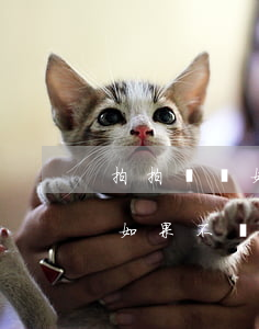 拍拍貸說如果不還款叫我等著看-拍拍貸說如果不還款叫我等著看征信