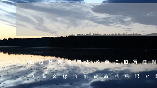 拍拍貸貸逾期怎么辦(拍拍貸逾期會(huì)怎么樣?拍拍貸逾期后果介紹)