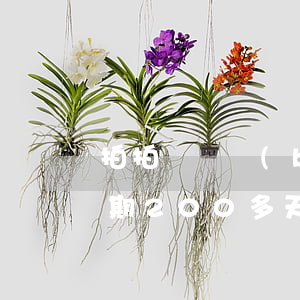 拍拍貸賠標(biāo) 逾期率高(拍拍貸逾期200多天說是起訴了是真的嗎)